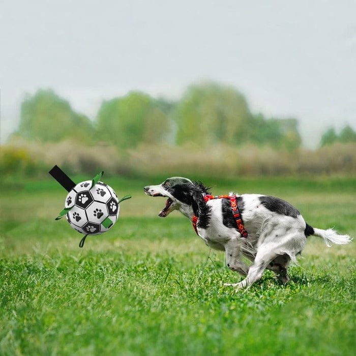 DogToysSoccerBallwithStraps-3