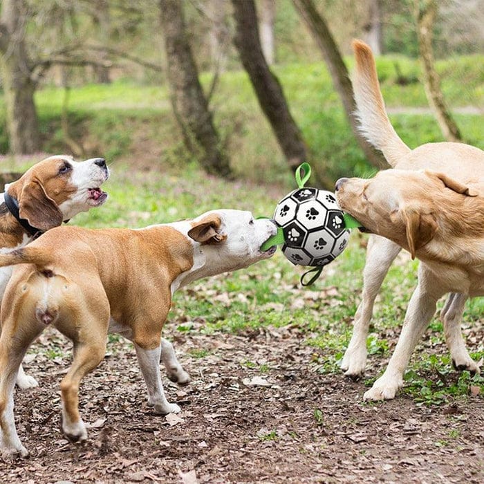 DogToysSoccerBallwithStraps-5