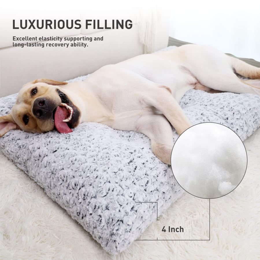 A large dog enjoying orthopedic support on the thick Dogegis™ cave bed liner.