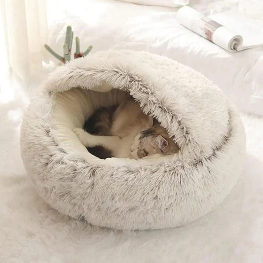 Dog Cave Bed vs Regular Dog Bed – Which One is Right for Your Pet?