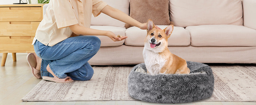 Acute Stress Response: Mitigating Anxiety and De-escalating Canine Panic via Environmental Engineering
