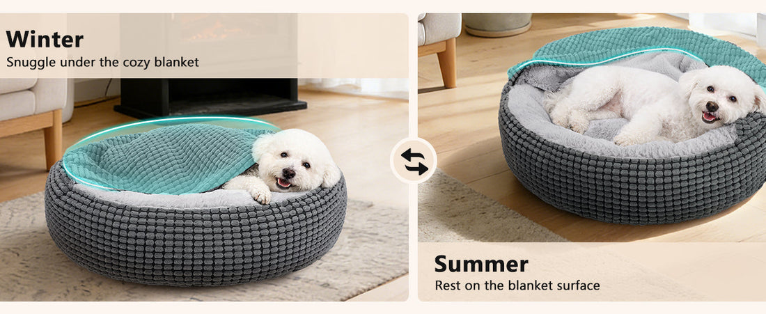 A side-by-side comparison of a small white dog using the 2-in-1 Soft Plush Cave Bed in two modes: bundled under the turquoise hood for Winter warmth and lounging atop the flattened mat for Summer cooling.