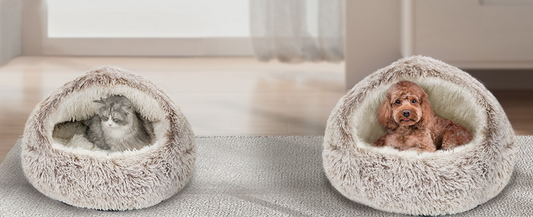 Side-by-side view of a cat and a dog each resting in their own Dogegis™ Calming Dog Cave Beds, illustrating the 'Home Away from Home' strategy for reducing travel anxiety through a secure, plush den environment.