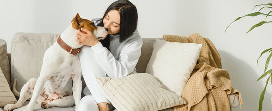 A split-view image of a gray Dogegis™ pet bed with icons highlighting its technical features: High-Quality materials, Non-toxic fabrics, and an Orthopedic design for spinal support during travel.