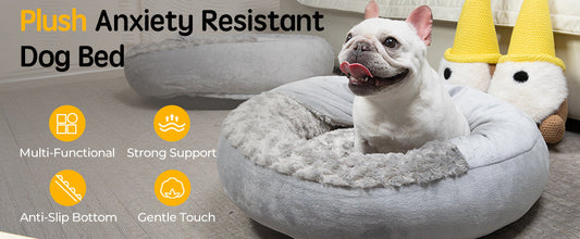 Contact Comfort & Boundary Seeking: Decoding Why Dogs Sit Right Next to You