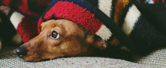 Close-up of soft vegan fur material that stays fluffy after washing