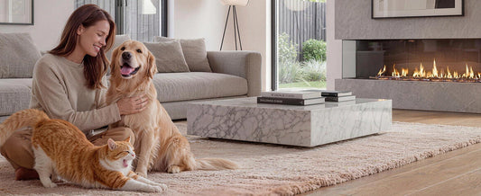 A peaceful home scene with a dog and cat, illustrating how Dogegis™ creates a 'mental health retreat' by satisfying a pet's biological need for security and contact comfort.
