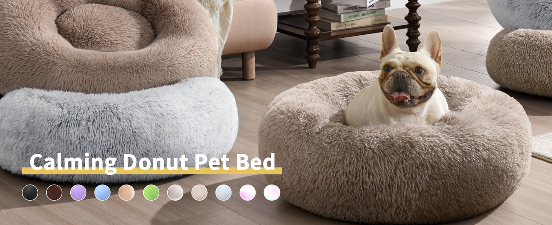 Easiest to Clean Dog Beds: The Ultimate Guide for Small Dog Owners
