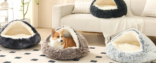 How We Finally Solved Our Dogs' Nighttime Anxiety (And the Cave Bed That Changed Everything)