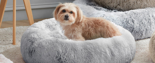 Small fluffy dog resting in a grey calming donut bed - Dogegis™ comfortable and secure pet sanctuary