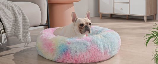 French Bulldog resting in a colorful fluffy donut bed to satisfy primal denning instinct and reduce anxiety.
