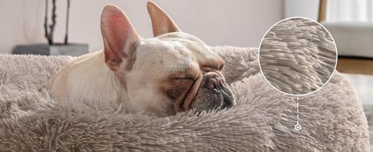 French Bulldog deeply sleeping in a sturdy orthopedic cave bed featuring high-density foam support for large dog joint decompression