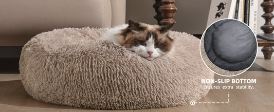 Hooded Dog Bed vs. Standard Mats: Why Your Dog Is Choosing the "Roof"