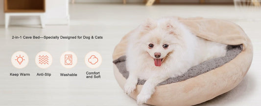 A fluffy white Pomeranian smiling in a tan 2-in-1 Cave Bed, showing how a dedicated 'Safe Zone' satisfies the denning instinct and reduces separation anxiety in 2026.