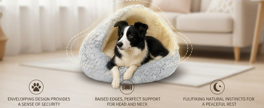 Puppy Imprinting & The Denning Urge: What It Means When a Young Dog Sits on You