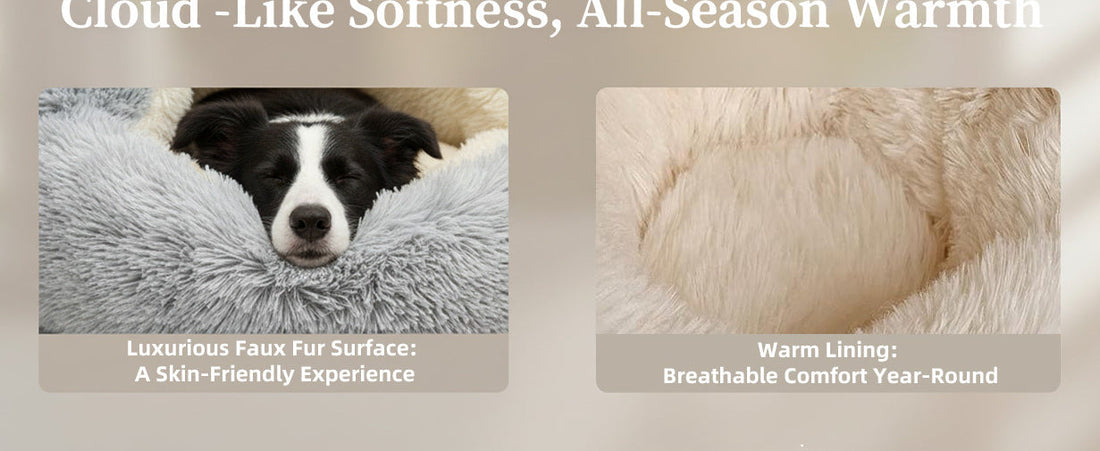 A scruffy terrier-mix dog sitting alertly on the back of a beige sofa, looking out the window; a perfect example of how dogs seek elevated 'thrones' near their owners for security and observation.