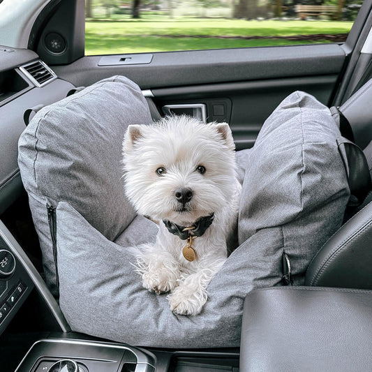 7 Things You Need to Know About Dog Car Seats!