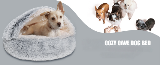 Why CozyNook Cave Beds Are Becoming Every Dog’s Favorite Spot to Sleep?