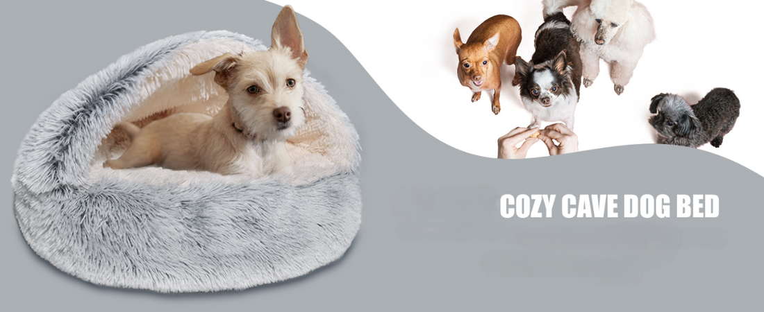 A Dogegis™ Cozy Cave Dog Bed in light gray featuring a small white terrier resting inside, paired with a group of various small breeds like Chihuahuas and Poodles to illustrate the ideal sanctuary for natural burrowers.