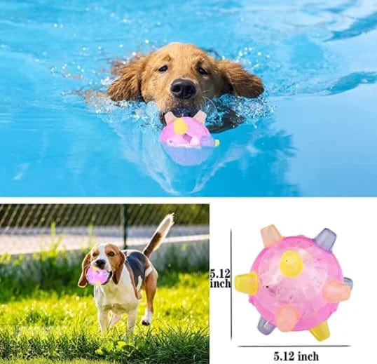 💥🎁2023-Christmas Hot Sale🎁 49% 💥Jumping activation ball for dogs and cats
