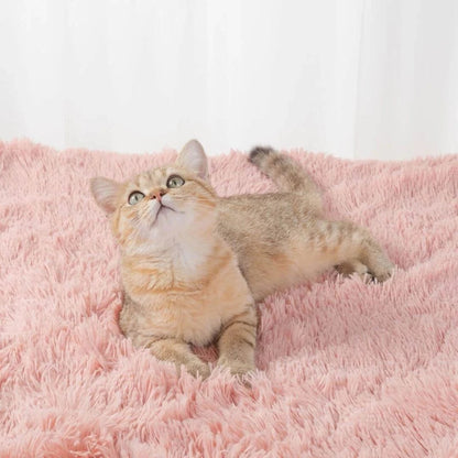 washable blanket for dog cave beds and covered dog beds