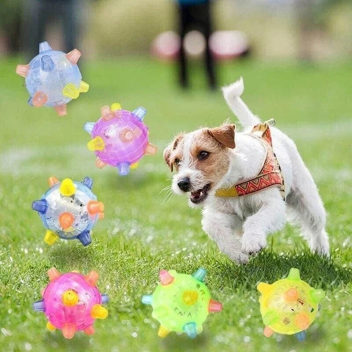 Jumping activation ball for dogs and cats-1