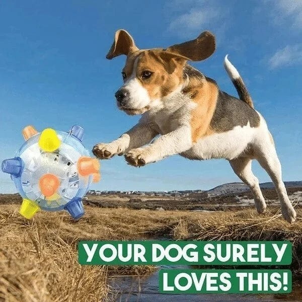 Jumping activation ball for dogs and cats-3
