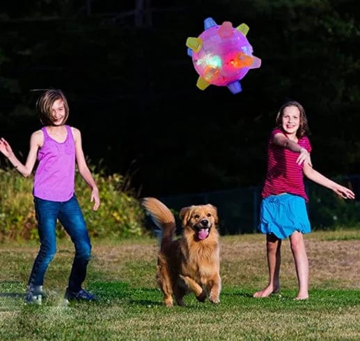 Jumping activation ball for dogs and cats-17