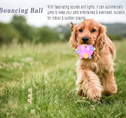Jumping activation ball for dogs and cats-9