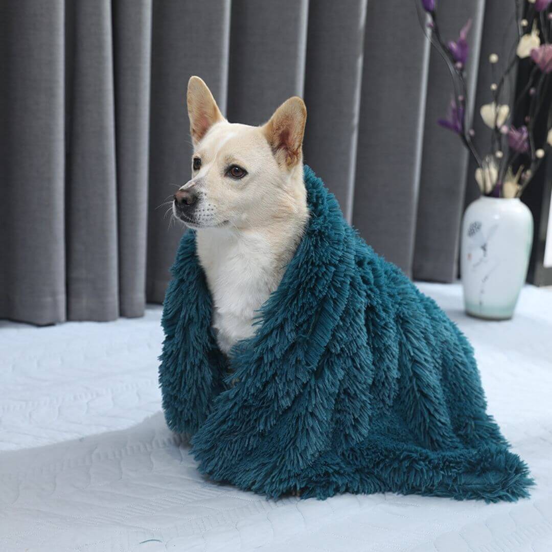 dog sleeping inside a cozy cave dog bed with soft blanket cover