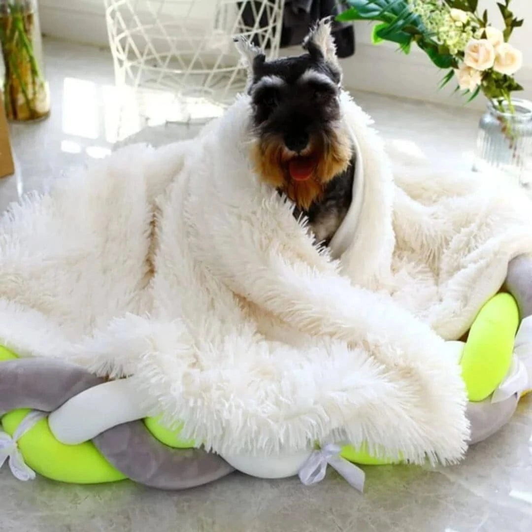 cozy dog cave bed blanket for anxious dogs inside cave dog bed