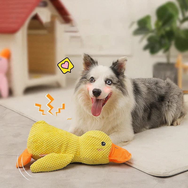 Quack-Quack Duck Dog Toy-1