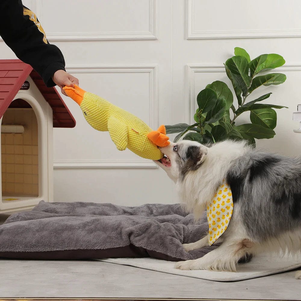 Quack-Quack Duck Dog Toy-3