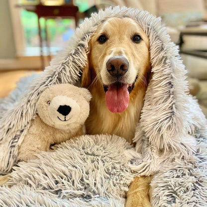 cozy dog cave bed blanket for anxious dogs inside cave dog bed