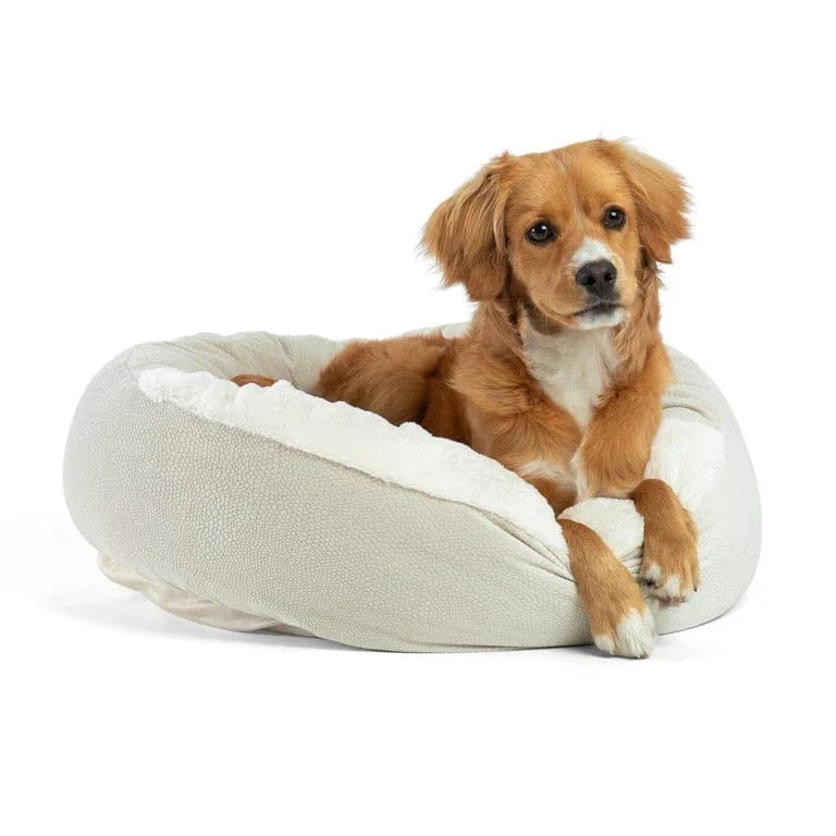 A dog resting comfortably on a beige cozy cave dog bed designed for small and large breeds