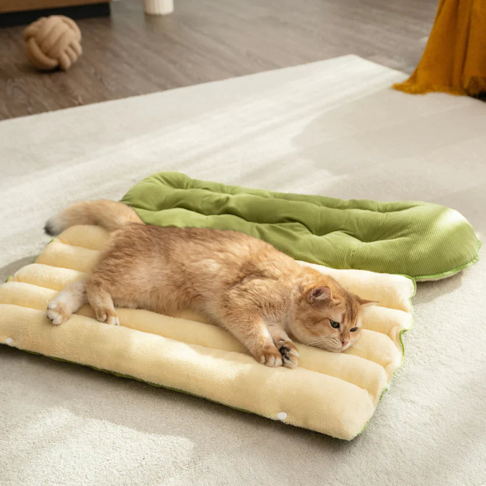 Dogegis™ 2-in-1 Calming Cave bed in Mat Mode, converted into a spacious open-air lounging mat for warmer days