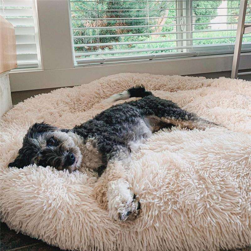 Beige Dogegis™ anti-anxiety calming donut bed featuring a raised rim for head and neck support.