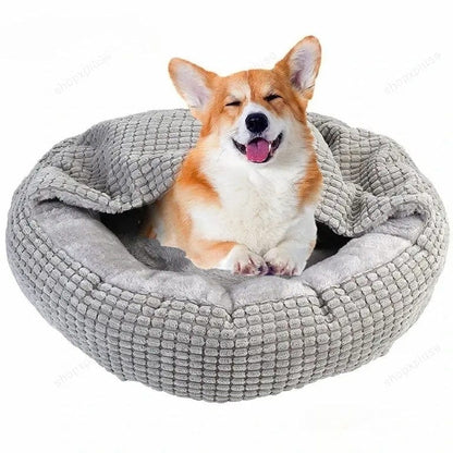 A Corgi resting in the grey Dogegis™ Calming Cave bed designed for orthopedic joint support