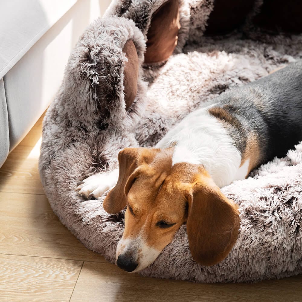 A large dog relaxing comfortably on a spacious grey paw-shaped Dogegis™ calming dog bed.