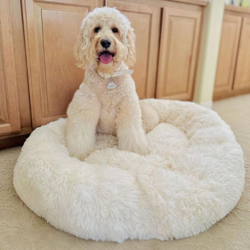Fluffy white Dogegis™ calming donut bed designed for large and medium dog breeds.