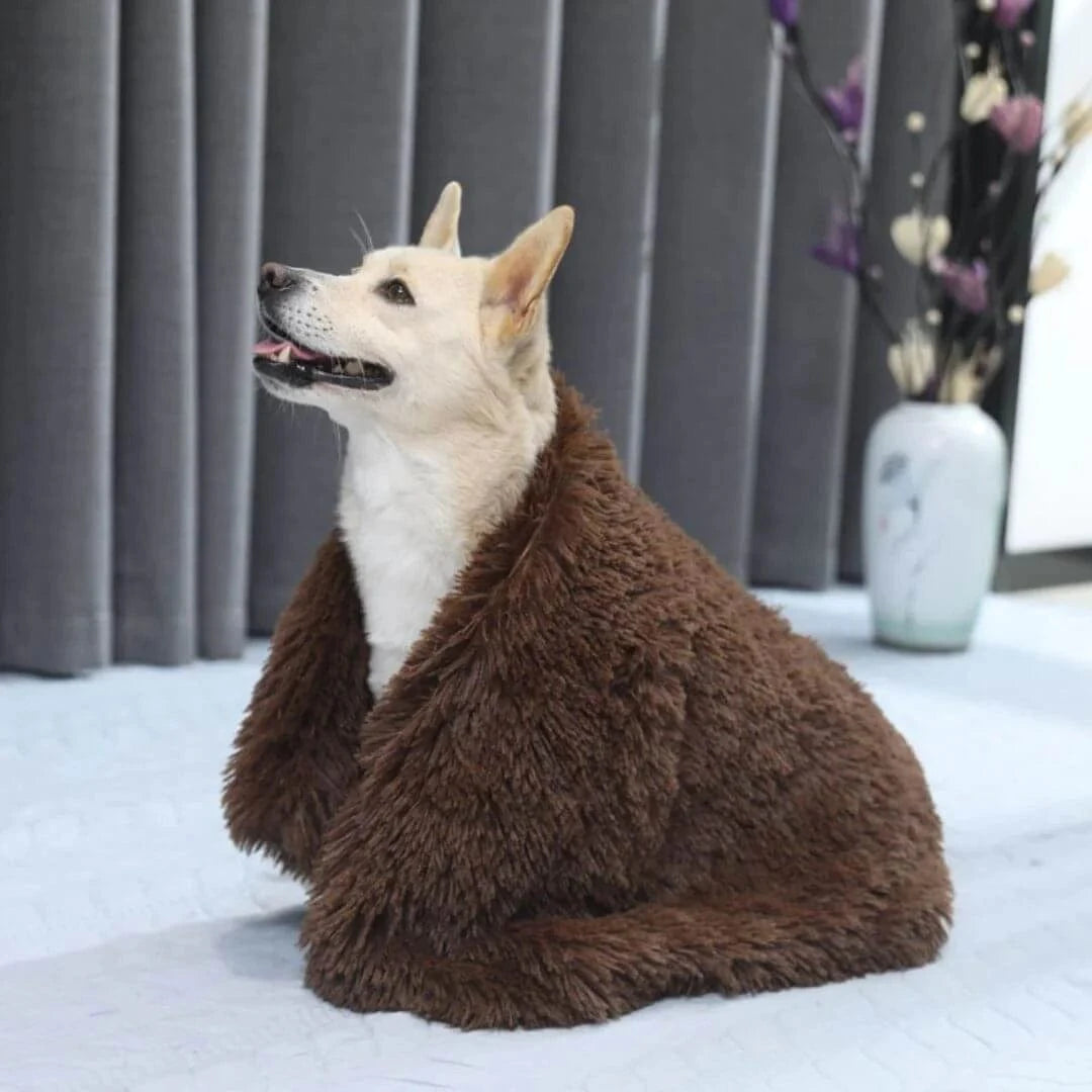 A small dog wrapped in a brown Dogegis™ Calming Pet Blanket providing soothing comfort