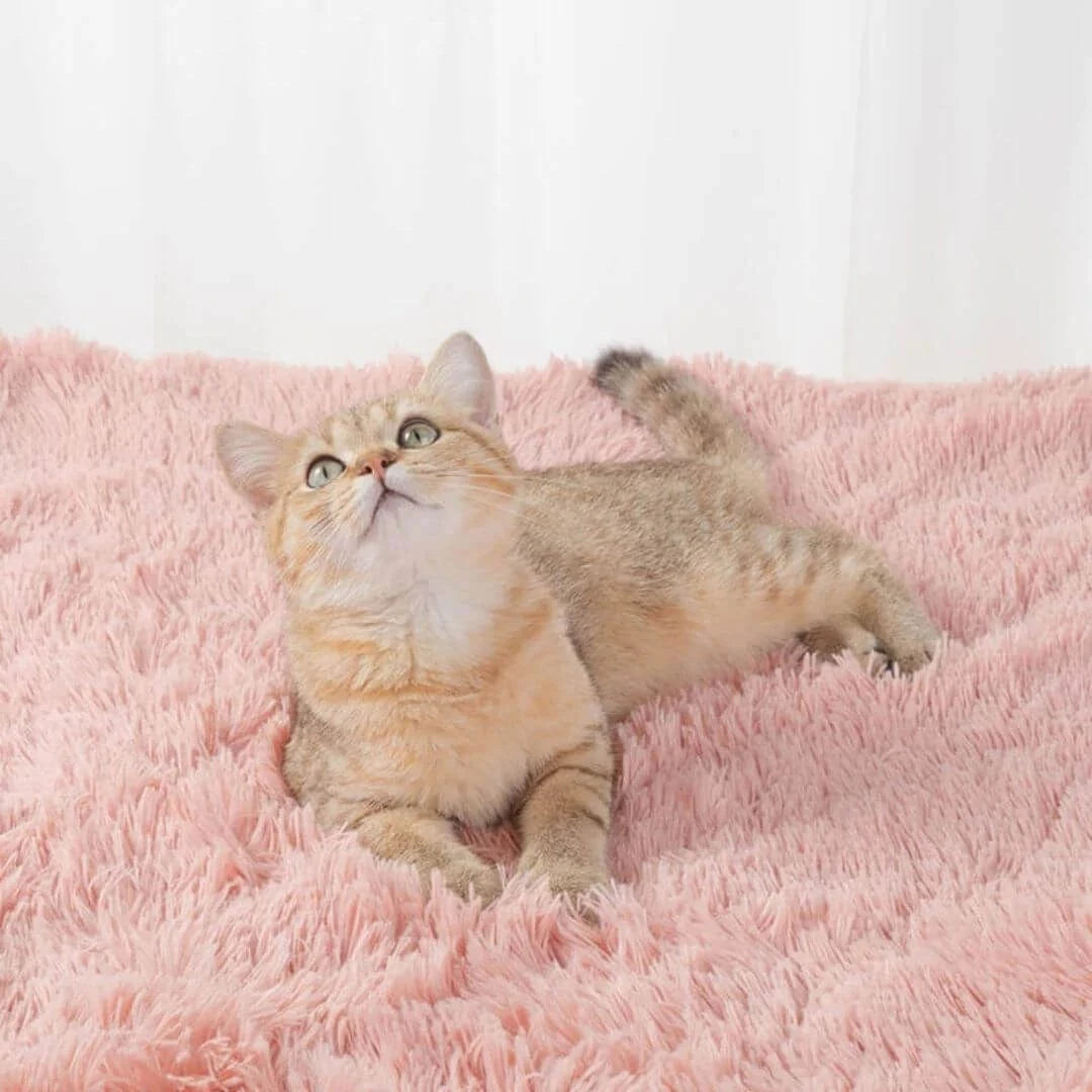 A cat resting on a pink Dogegis™ anti-anxiety faux fur pet throw blanket