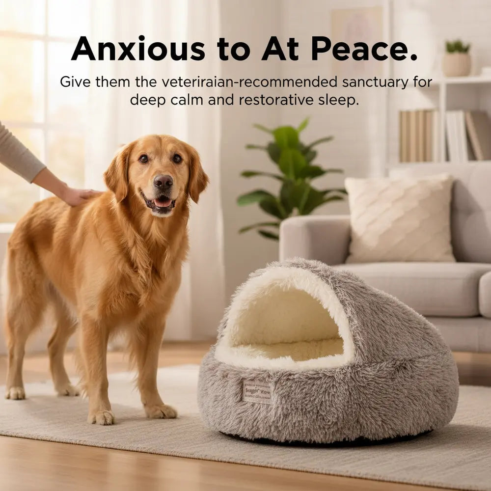 Anxious dog finding peace and anxiety relief with the Dogegis® CozyNook calming nest bed in a living room