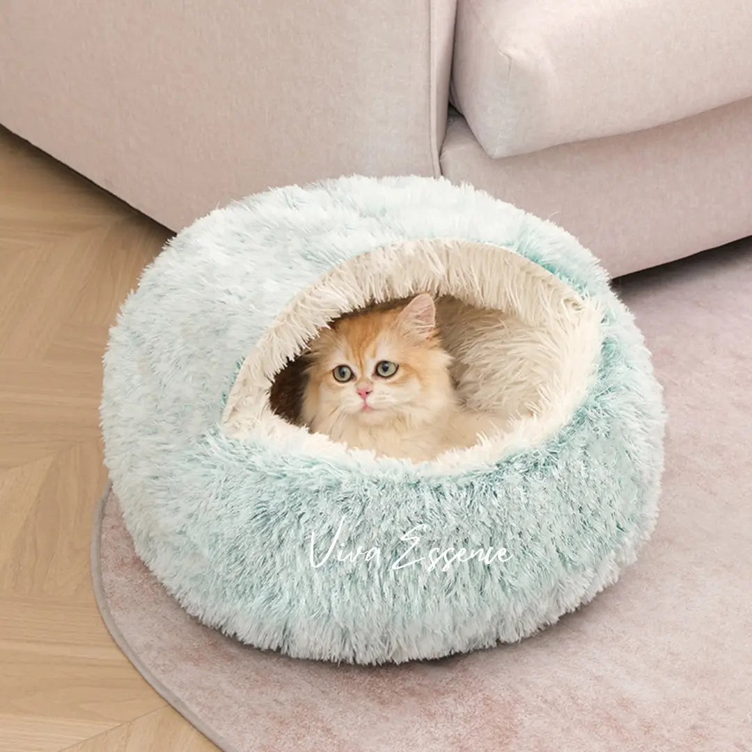 A cute cat resting cozy inside the mint green Dogegis® pet cave bed