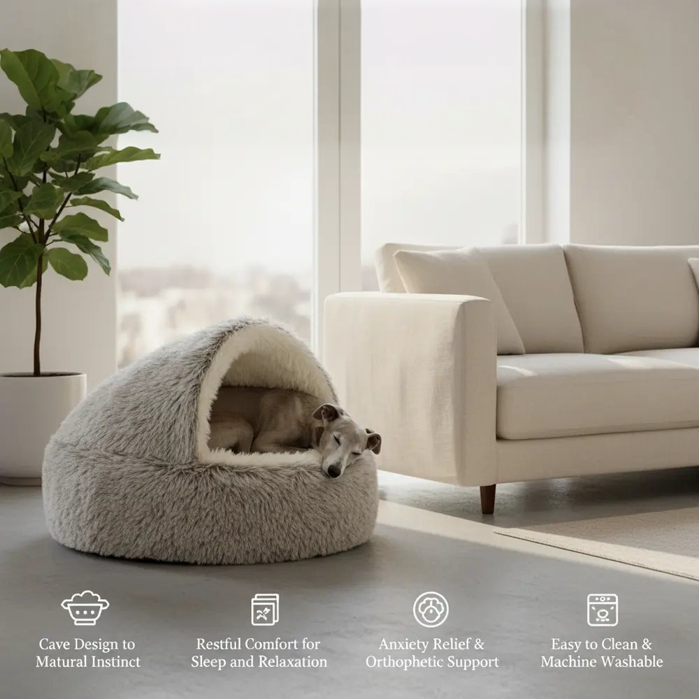 Dogegis® CozyNook calming dog bed placed in a modern living room matching home decor