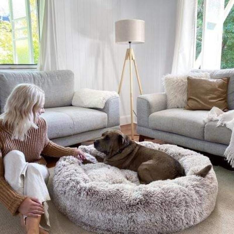 Dogegis™ orthopedic calming donut bed placed in a modern living room with a dog resting comfortably.