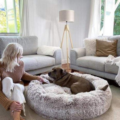 Dogegis™ orthopedic calming donut bed placed in a modern living room with a dog resting comfortably.