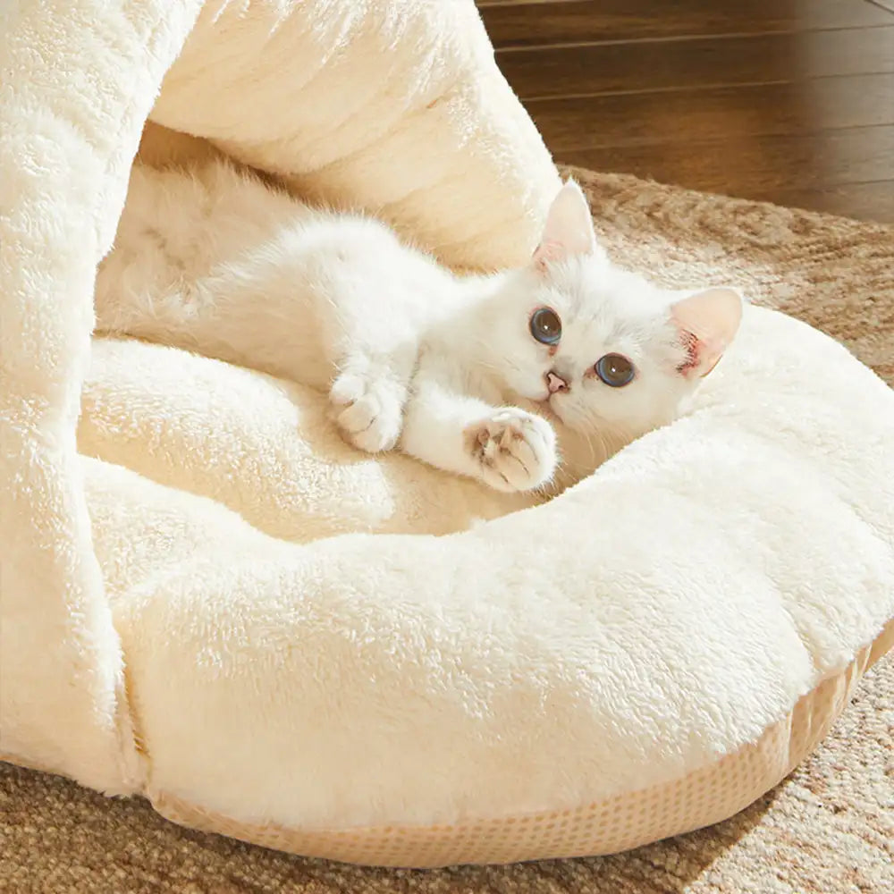 A happy pet resting inside the Dogegis™ Slipper Cave bed, blending seamlessly into modern living room decor