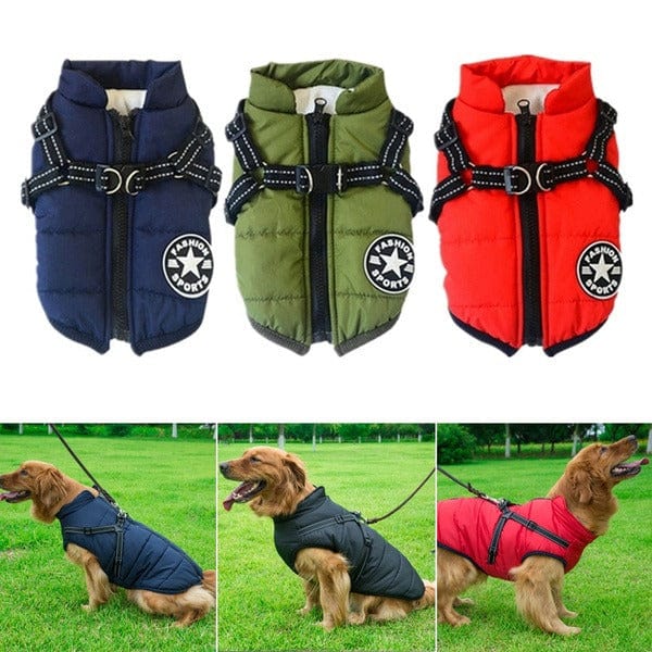 Assorted color variants of the Dogegis thermal dog coat with integrated reflective straps