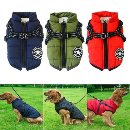 Assorted color variants of the Dogegis thermal dog coat with integrated reflective straps